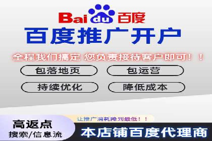 成功案例分享：SEM竞价代运营策略解析